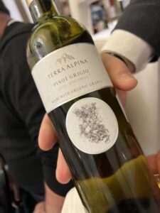 2021 Terra Alpina Pinot Grigio wine