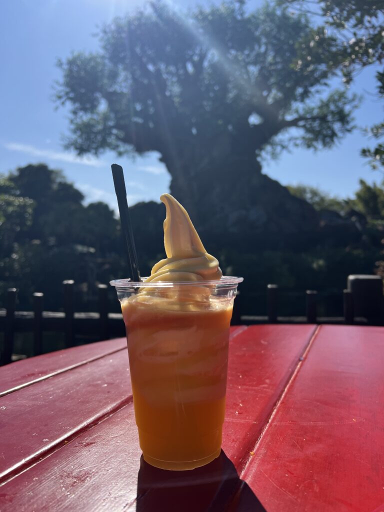 Dole Whip at Disney’s Animal Kingdom