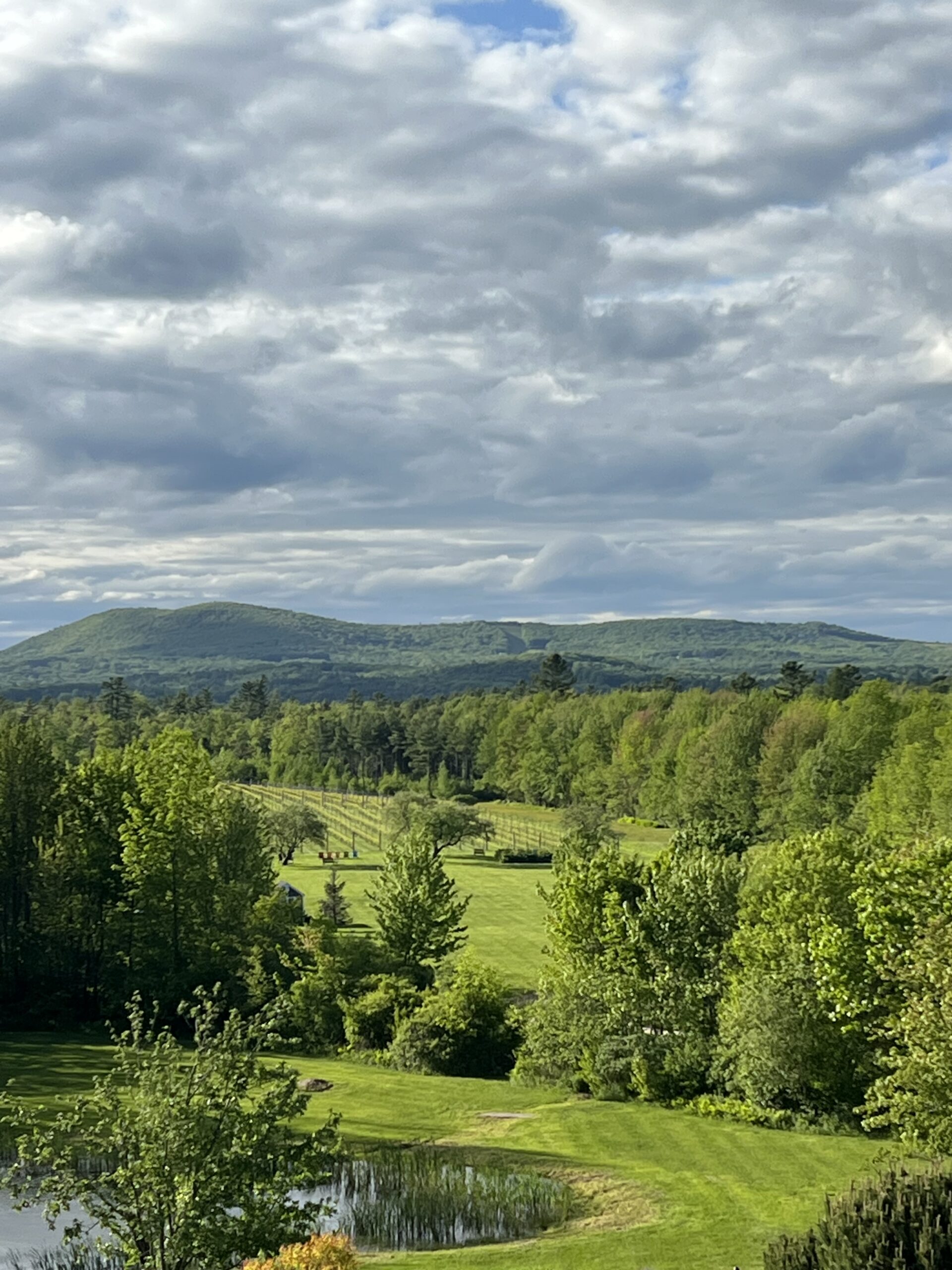 Lincolnville, Maine Winery