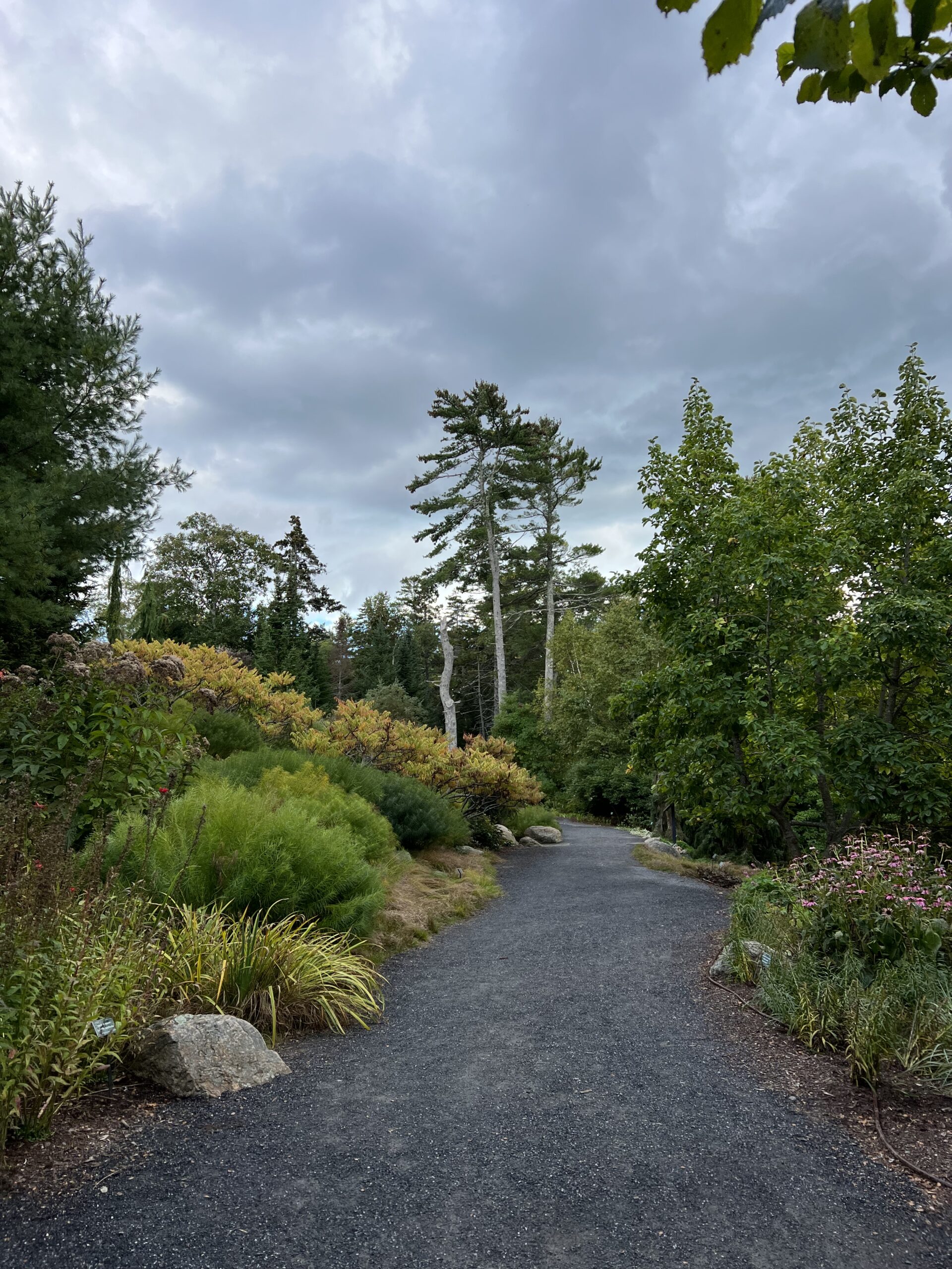 Maine Botanical Gardens Boothbay