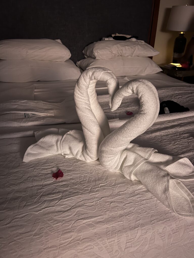 Serenity Coconut Bay St Lucia Turndown Towel Swans