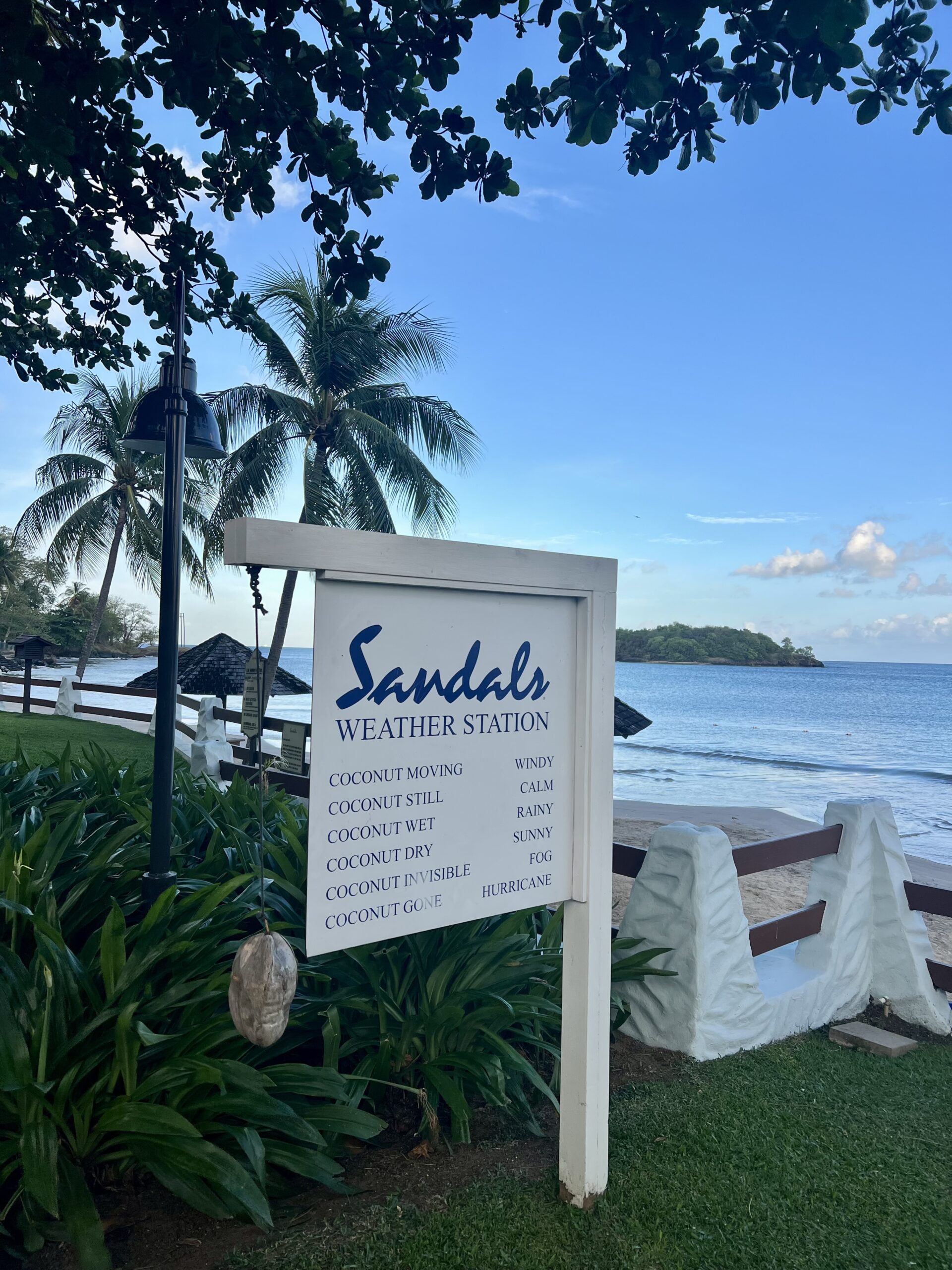 Sandals Halcyon Beach St Lucia Weather Coconut