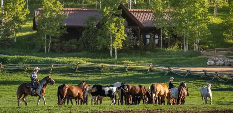 Vista Verde Ranch Family Resort